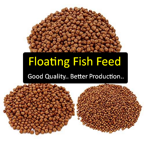 Floating fish sale food for ponds