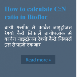 how to calculate CN Ratio in Biofloc