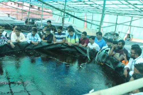 Biofloc Fish Farming Training 10-11 Aug 2019